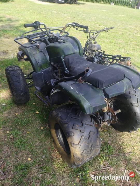 Quad 110 i 200 Bashan Dzikowiec
