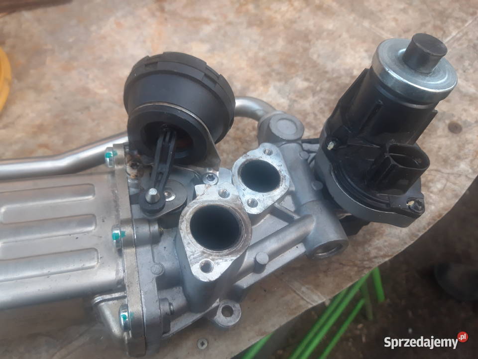Zawór EGR chłodnica Golf Passat Opole