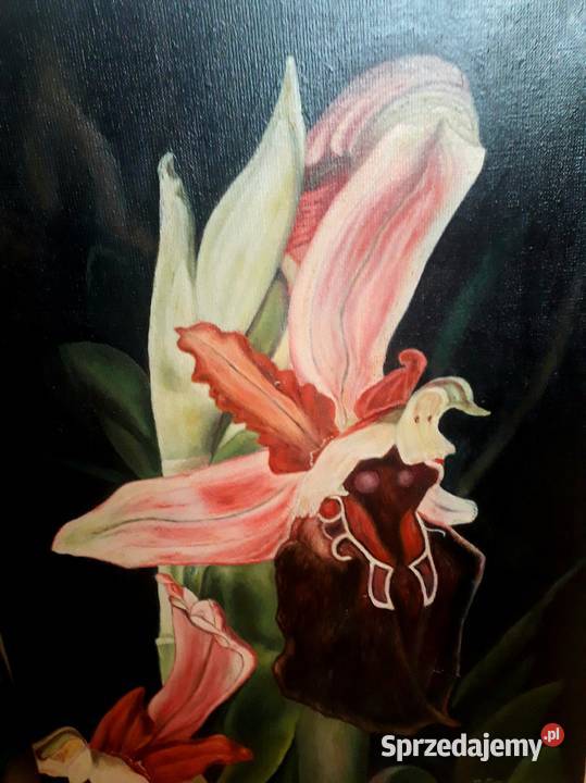 Obraz olejny Lilie świętokrzyskie Kielce