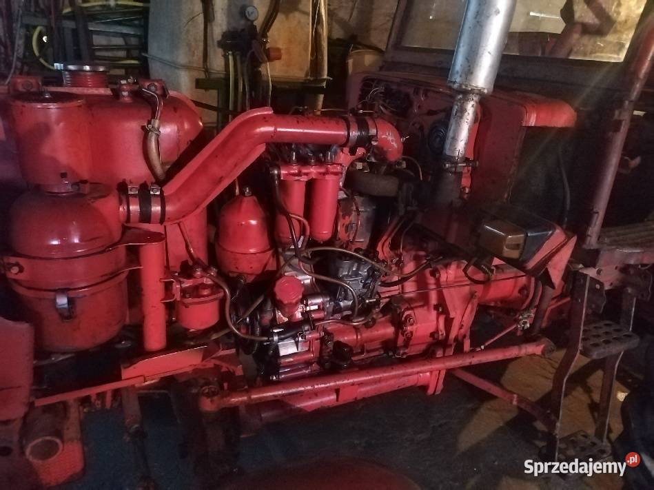 Władimirec T25 Rusek kujawsko-pomorskie Brodnica