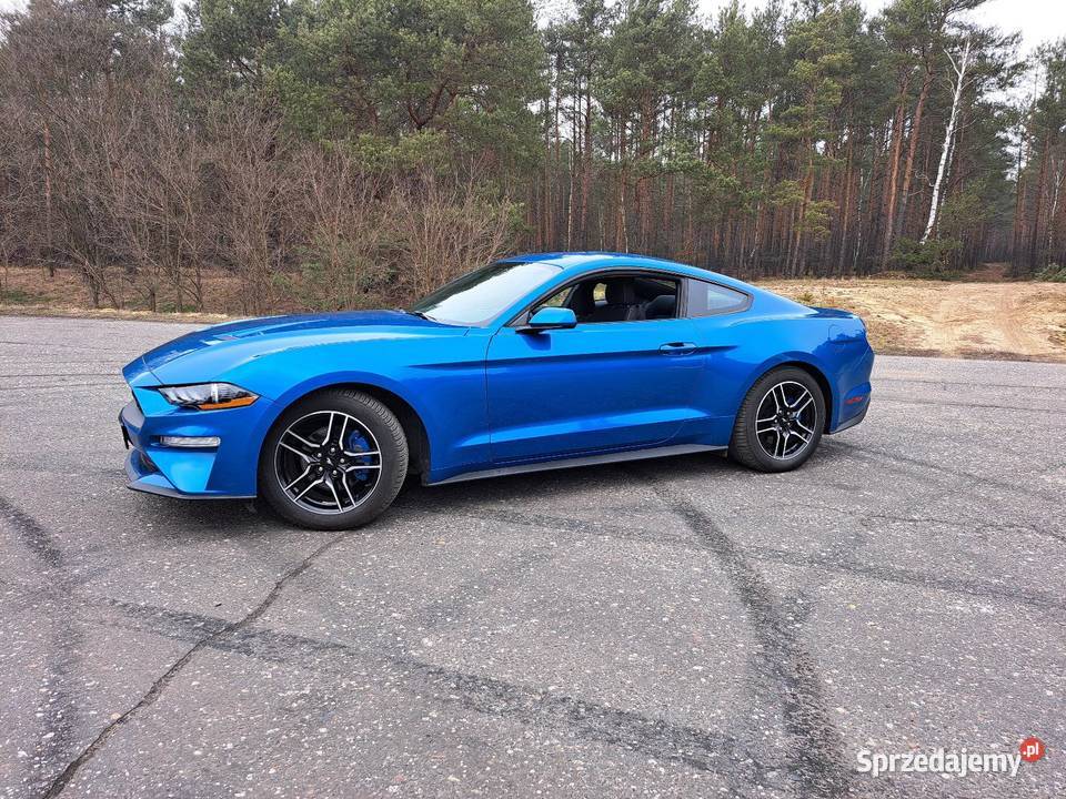 Ford Mustang 23 ecoboost Lasek