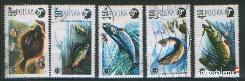 Zn Fi 2470 13 5 kas 1979 Filatelistyka Gliwice