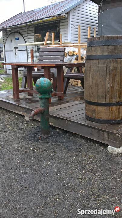 Wiekowa ozdobna pompa ręczna do wody