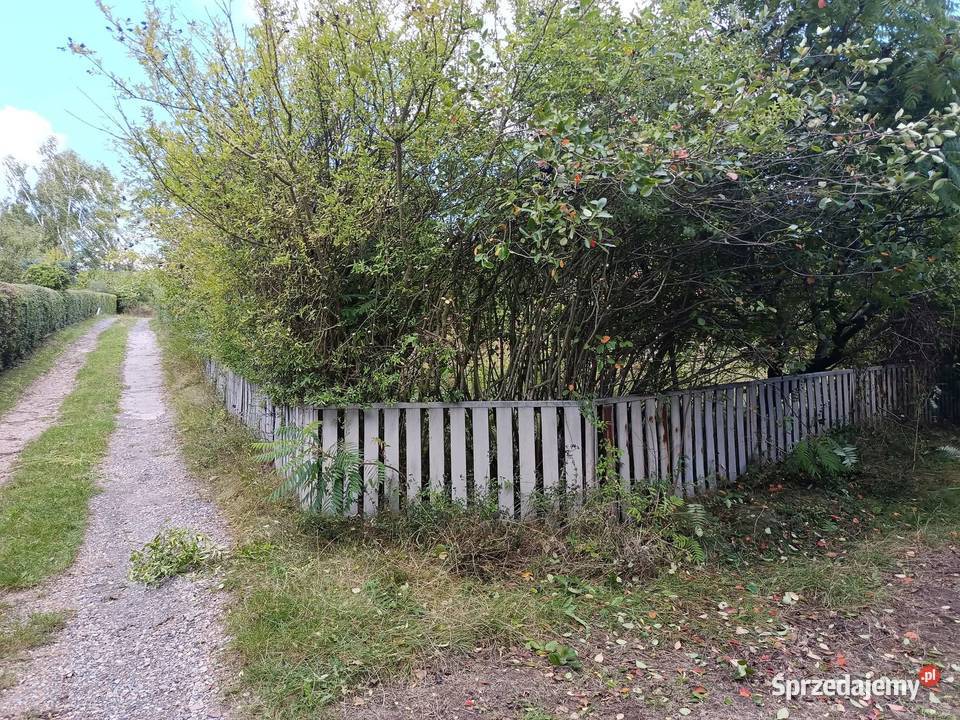 Rębak do gałęzi wycinka drzew mulczer leśny świętokrzyskie Chęciny