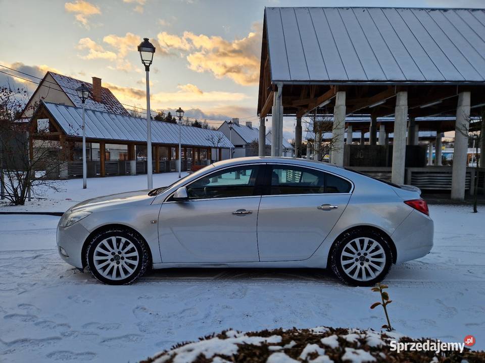 Opel Insignia 20 CDTI Cosmo Alu18 Klimatronic Ryglice