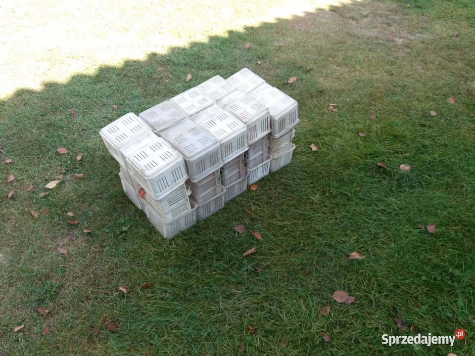 Łubianki plastikowe sprzedam