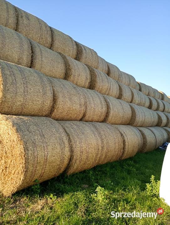 Sprzedam słome prasie Mchele 100 i 90 Burszewo