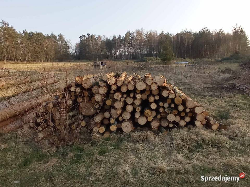 Drewno opałowe sosna sprzedam