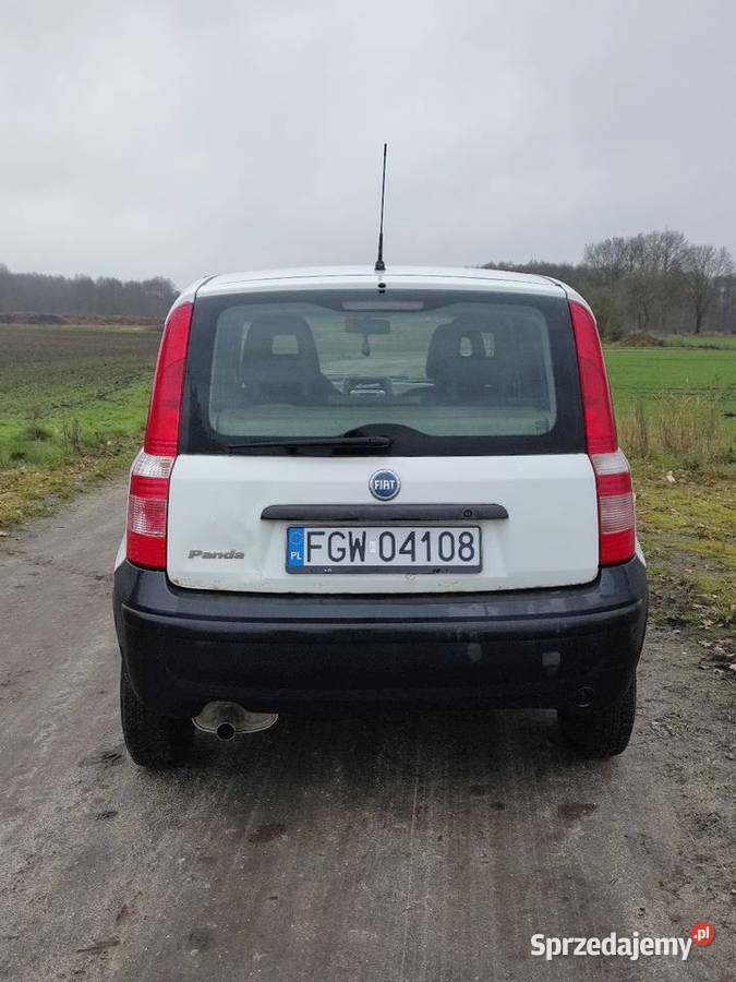 Fiat panda 60KM Gorzów Wielkopolski