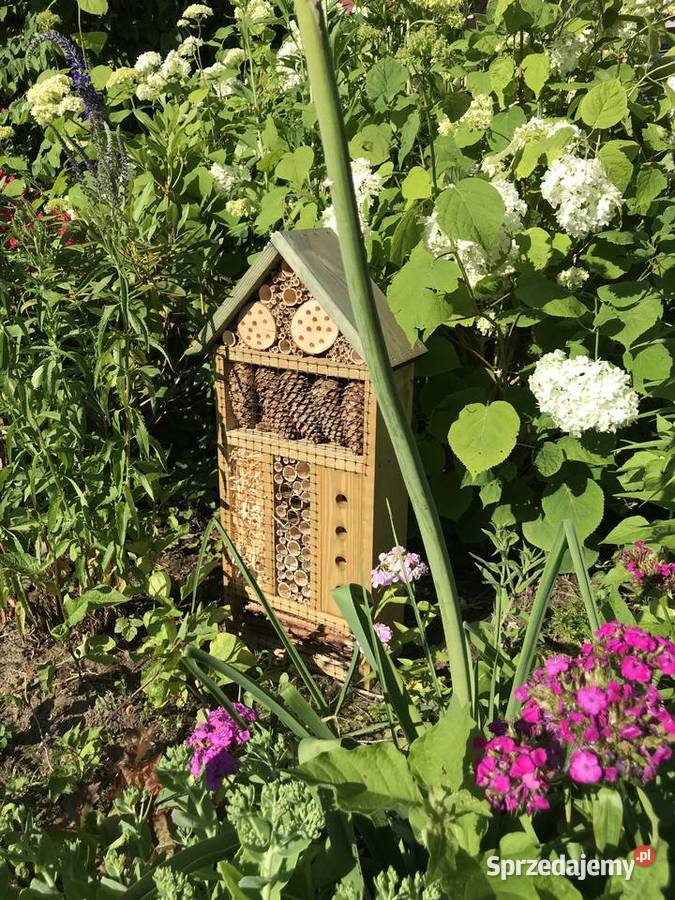 Domek owadów 70 Sławno
