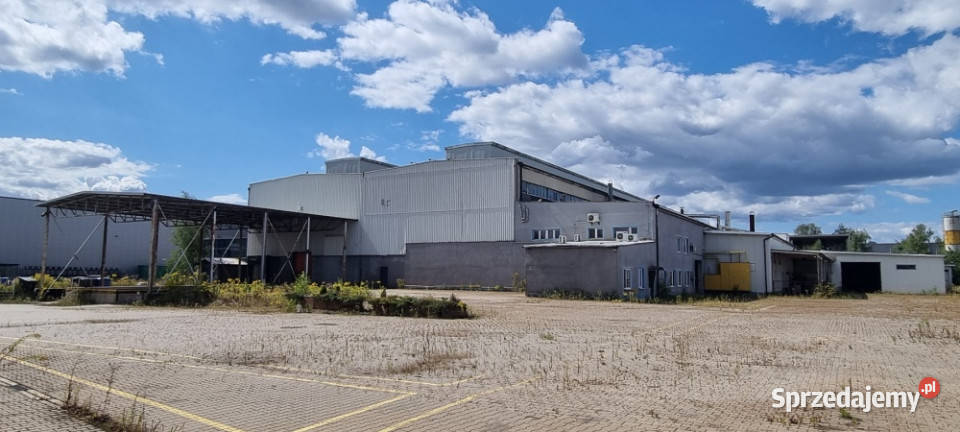 Syndyk sprzeda przedsiębiorstwo w Tychach Tychy