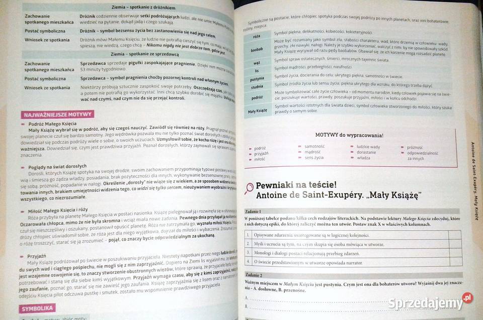 Język polski Egzamin ósmoklasisty na 100 Chełm