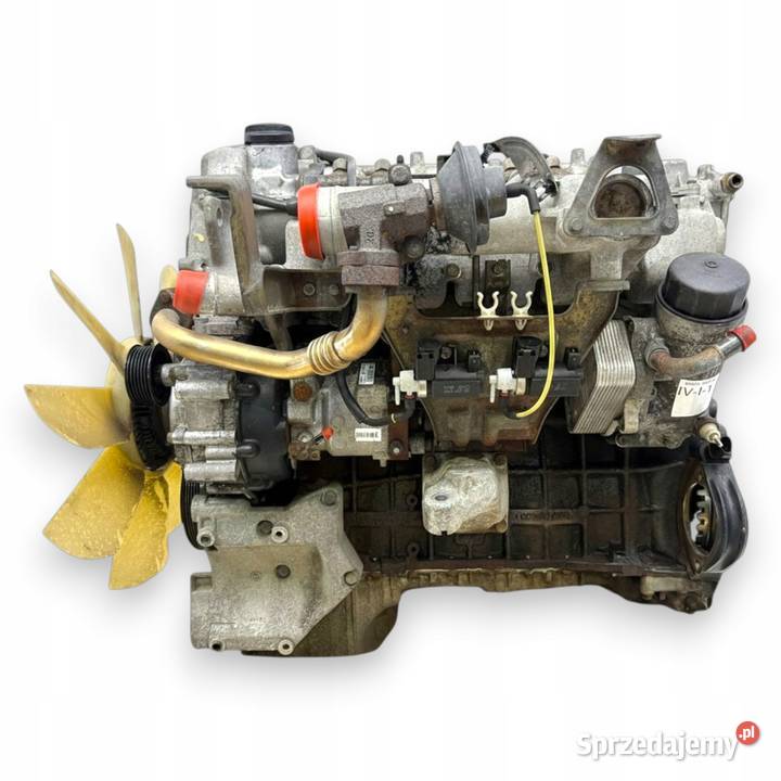 SILNIK 665925 Ssangyong Rexton Kyron Rodius 27 osobowe lubelskie Chełm