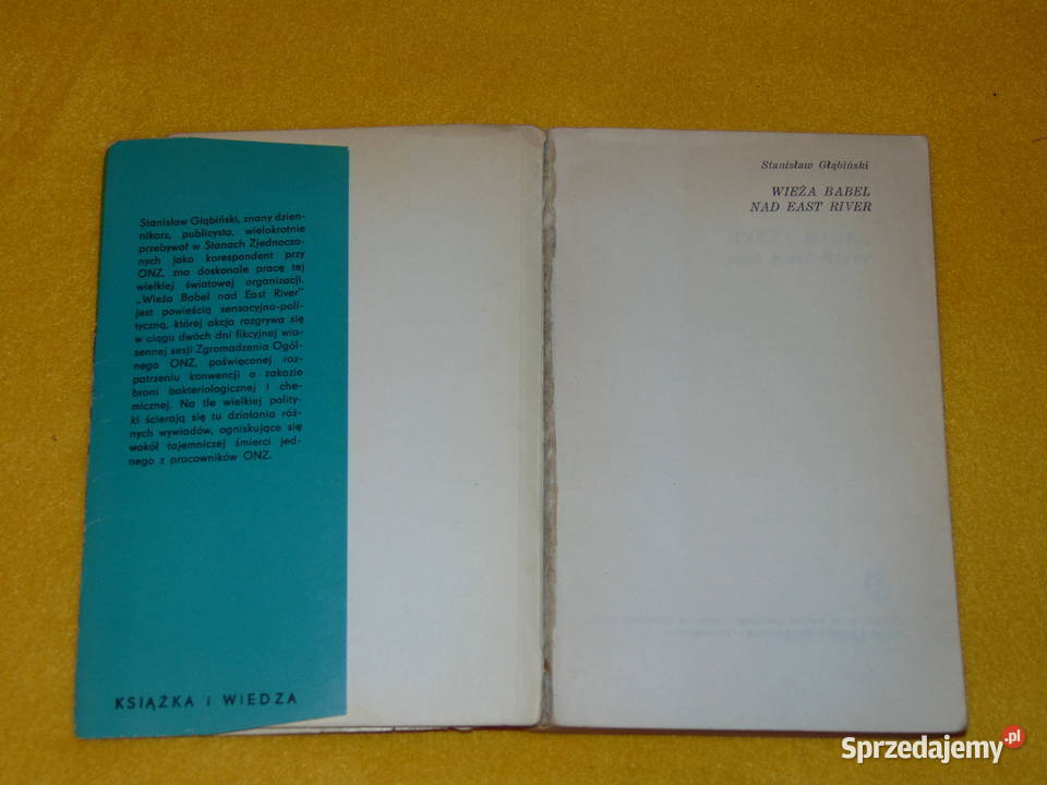 Wieża Babel East River Stanisław Głąbiński Lublin