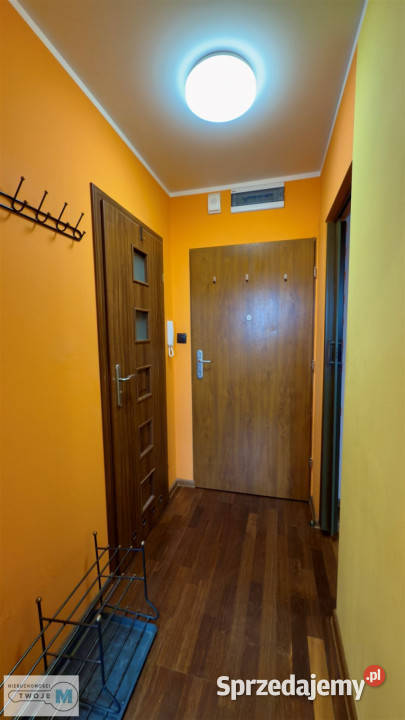 Mieszkanie na wynajem 31m2 2 pokoje Kielce