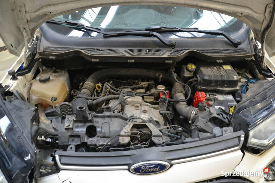 Ford EcoSport 10 benzyna 125 niski przebieg EcoSport Kęty