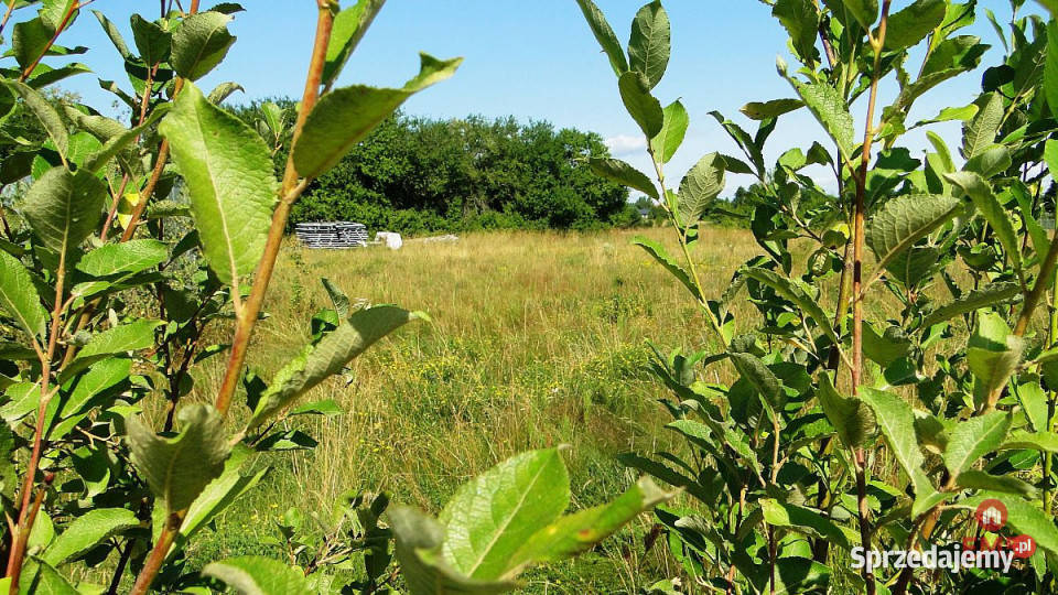 Działka 1458 metrów Henrykowo 30m