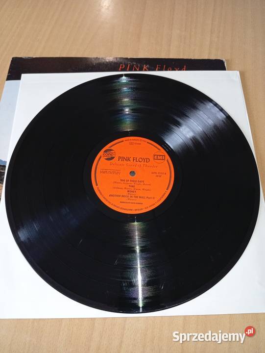 Pink Floyd Delicate Sound Of Thunder Hungary Rumia