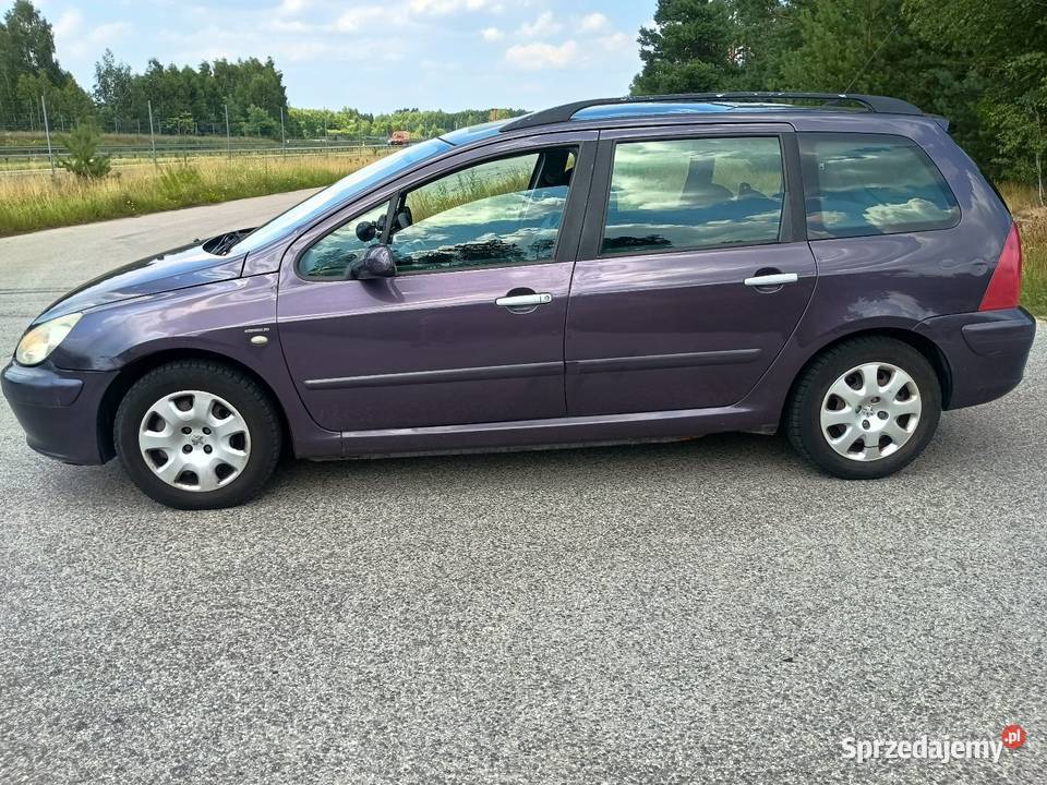 Peugeot 307 16 LPG 2003r Radom