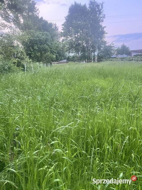 Działka 034 ha dojazd asfaltowy z dwóch stron 156m Zadworze
