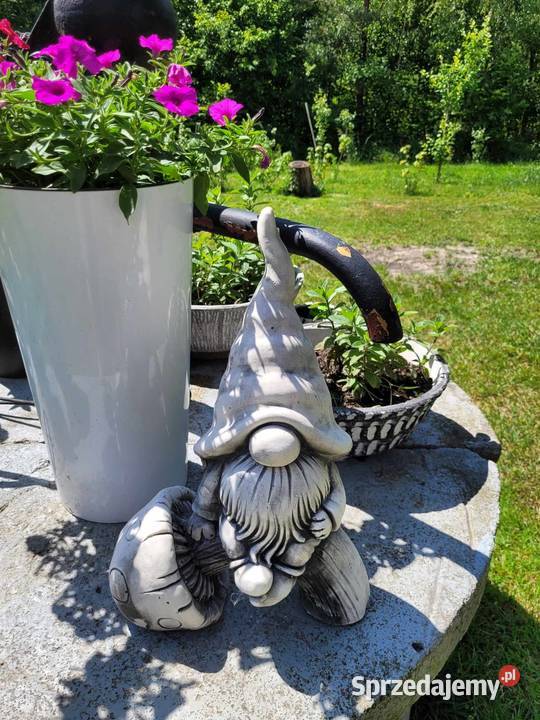 Krasnal ogrodowy na grzybie skrzat na grzybku Wrocław