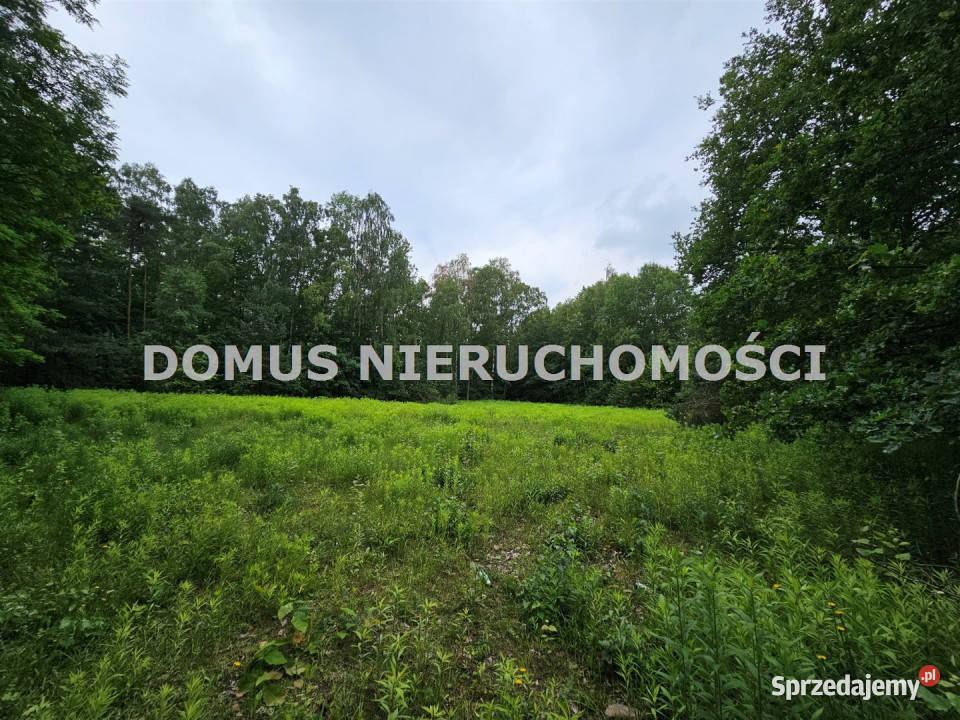 sprzedaży gruntu 22000m2 Brzeziny Nieruchomości