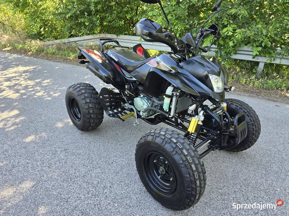 Quad Bashan 250cc Ciecz 41R Kat B Duża Rama 250cm3 Kruszwica