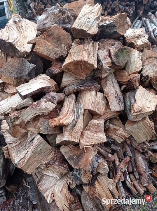 Sprzedam drzewo sosnowe i liściaste