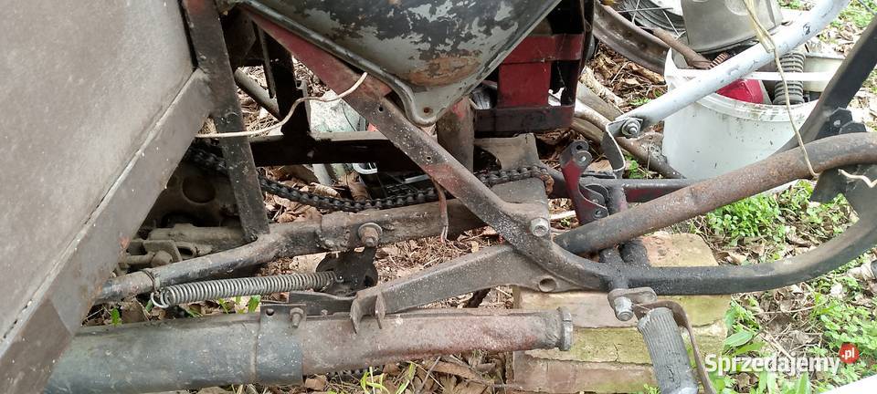 wsk 125 dzik rama Międzychód