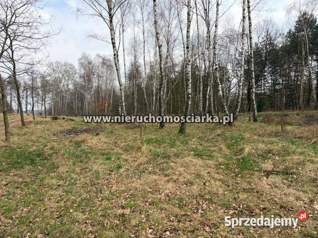 Sprzedam działka 10182m2 Wodzisław Śląski