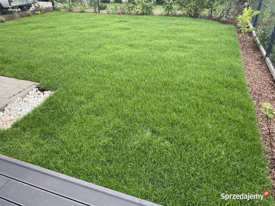 Automatyczne nawodnienie nawadnianie ogrodów Systemy nawadniające Warszawa