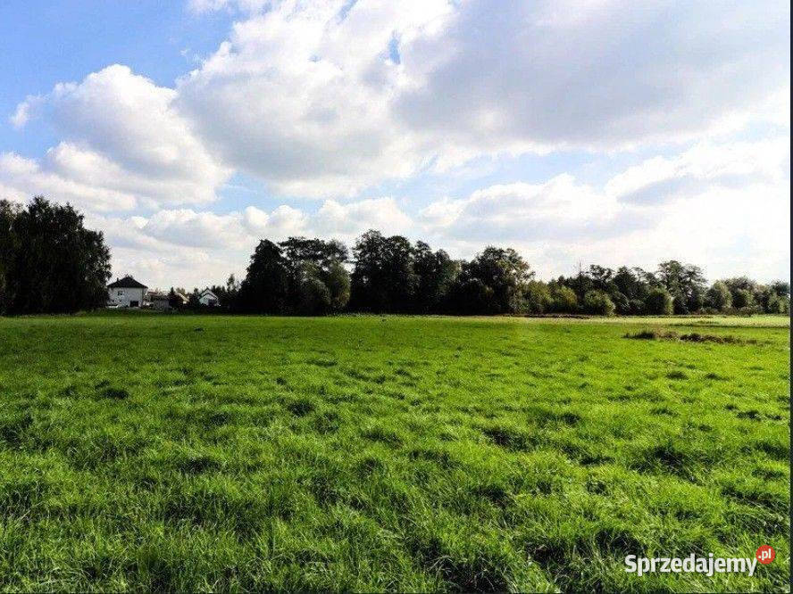 Cholerzyn działki budowlane 165 ara