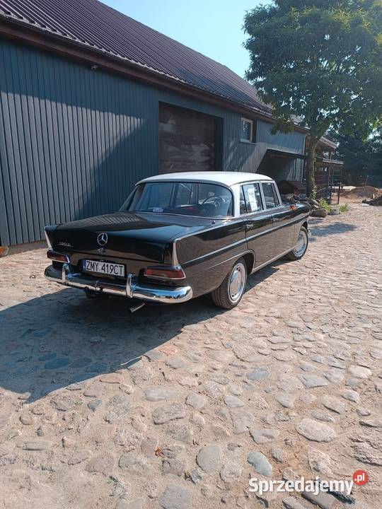 Sprzedam Mercedes 110 skrzydlak Krześnica