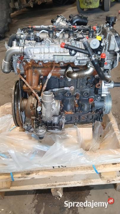 Silnik Iveco F1CFL411F 30 L 146 Euro 6 2020r dostawcze Kraśnik