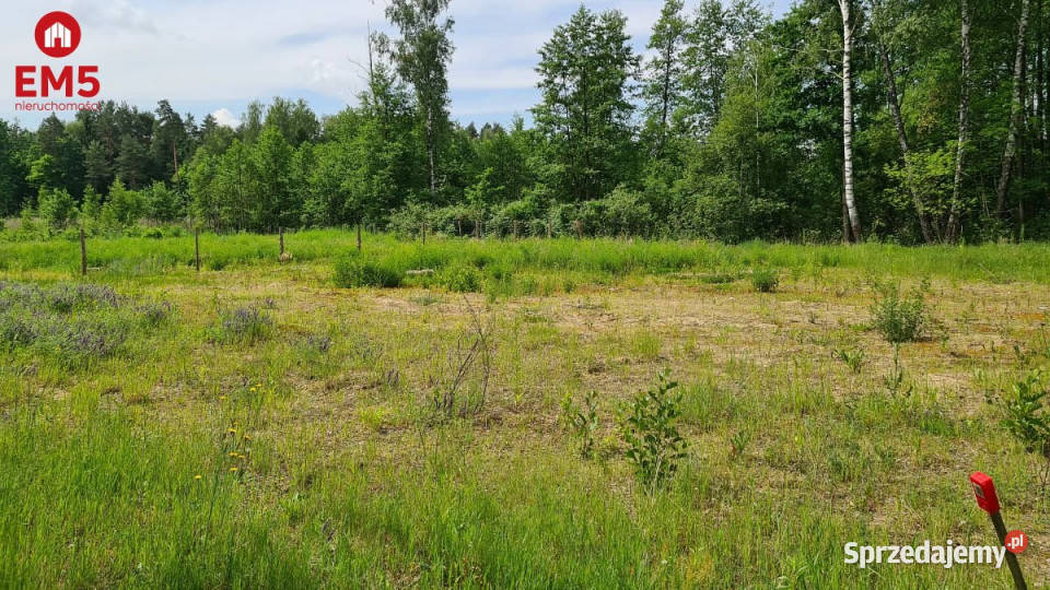 sprzedaży gruntu Solniczki Wiejska 1167m2 33m Sprzedaż podlaskie