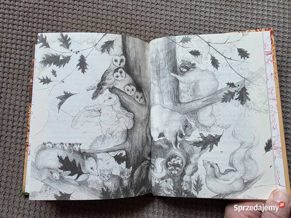 nowa Drzewo życzeń Katherine Applegate Kraków sprzedam