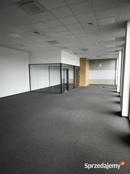 Przestronne biuro 18467 m gotowe do wejścia Wynajem Katowice