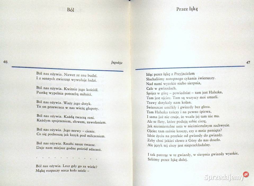 Przesłanie Zbigniew Jerzyna miękka z obwolutą Chełm