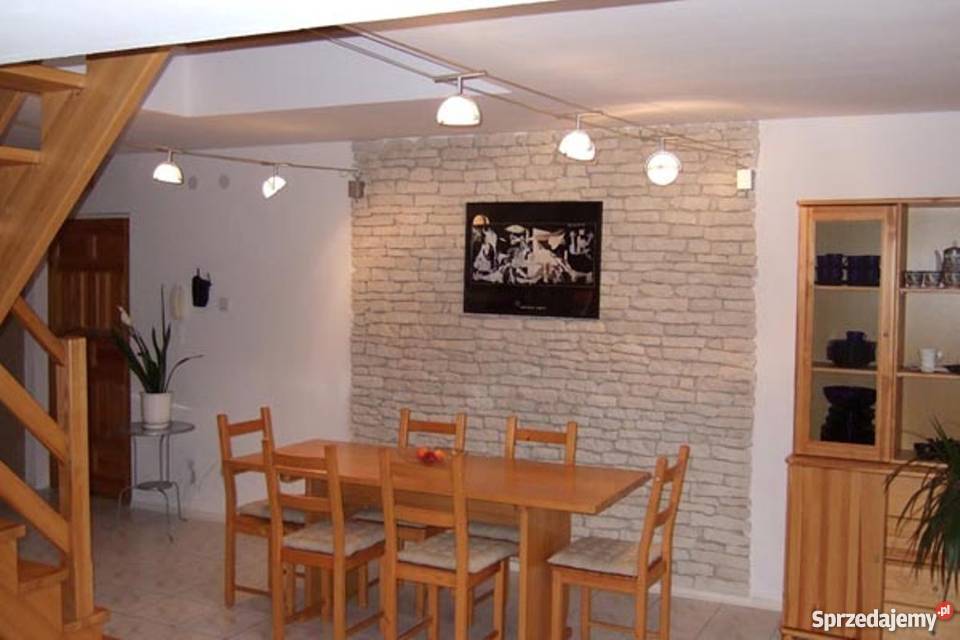 Płytki Cegły Kamień ElewacyjnyZewnętrzny na zewnętrzne