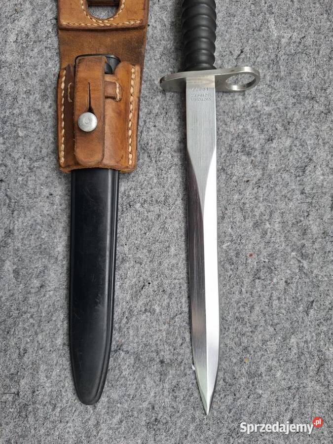 Bagnet Szwajcarski SIG 57 Victoria Schwyz z świętokrzyskie Kielce