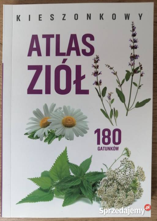 Kieszonkowy atlas ziół Aleksandra Halarewicz Głogów