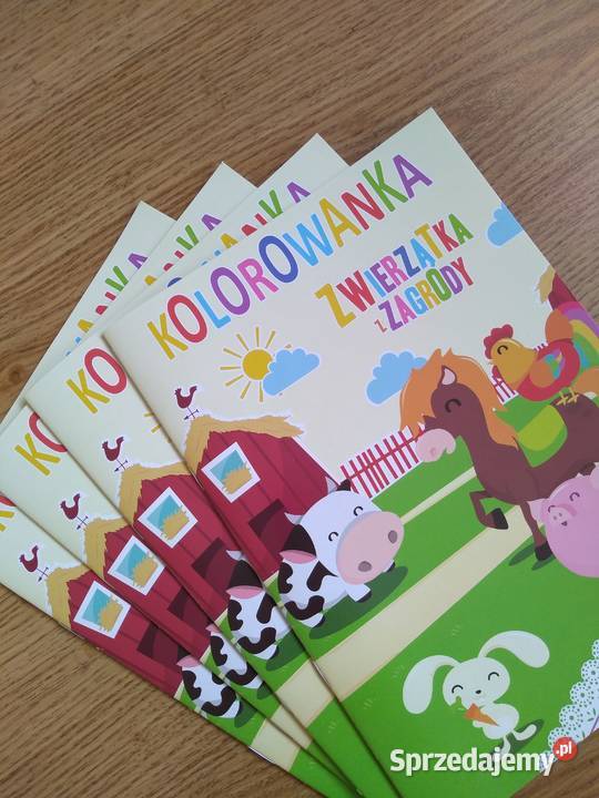 Kolorowanki dzieci dolnośląskie Wrocław