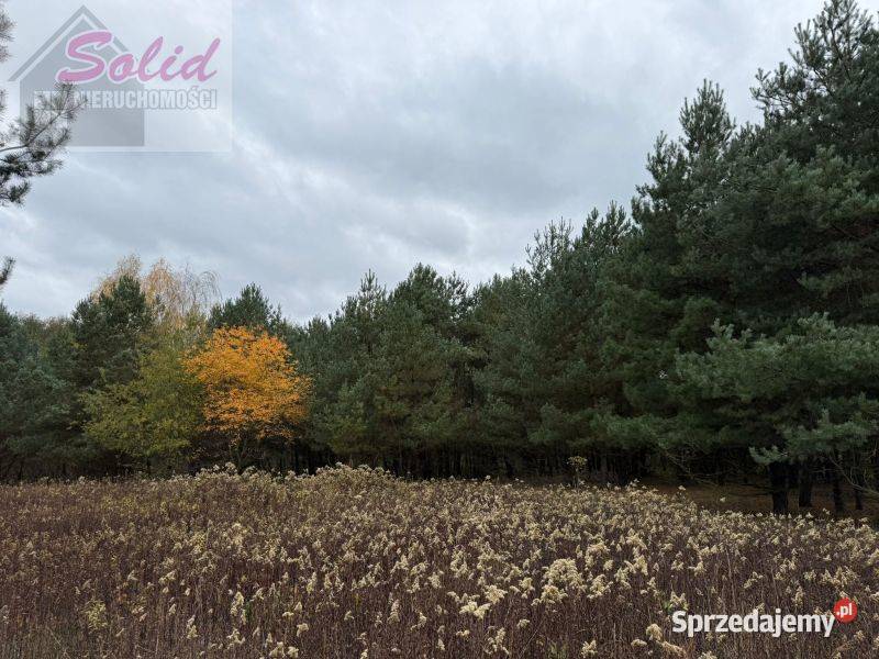 Duża działka z warunkami zabudowy w Gostynin sprzedam