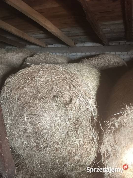Sprzedam siano i słomę Łęczyca