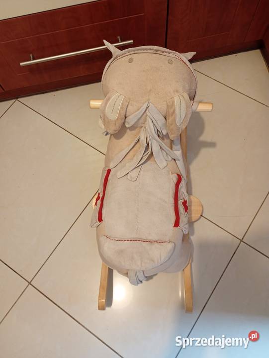 Konik na biegunach małopolskie Kraków