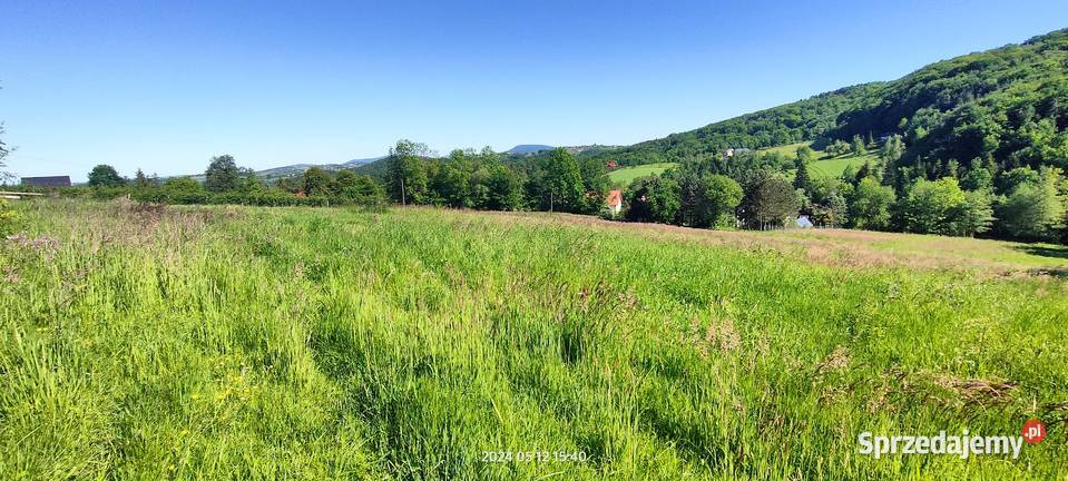 Sprzedam działkę widokową Raciechowice