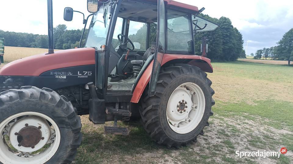 Sprzedam Holland łódzkie