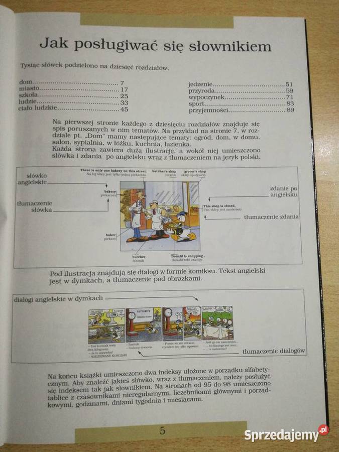 Angielski z Waltem Disneyem Lublin