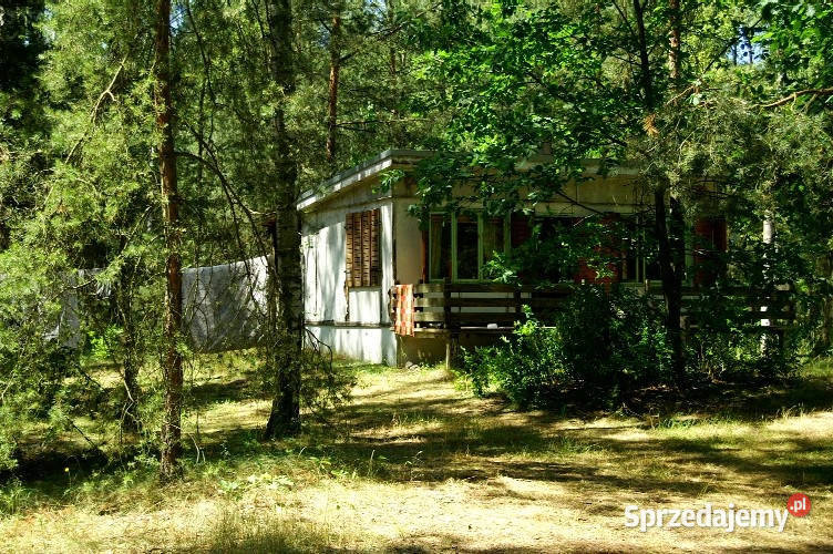7810m2działka bud 4965m22845m2LAS Grunty i działki sprzedam
