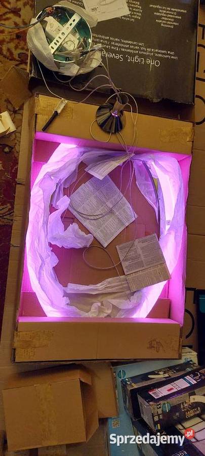 Lampa wisząca LED 35W HORNITOSC 98427 Eglo łódzkie
